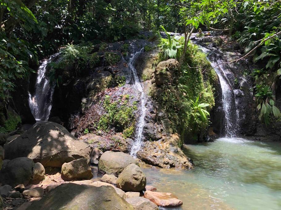 Bungalow Avec Jacuzzi Privatif Villa Sainte-Rose Luaran gambar